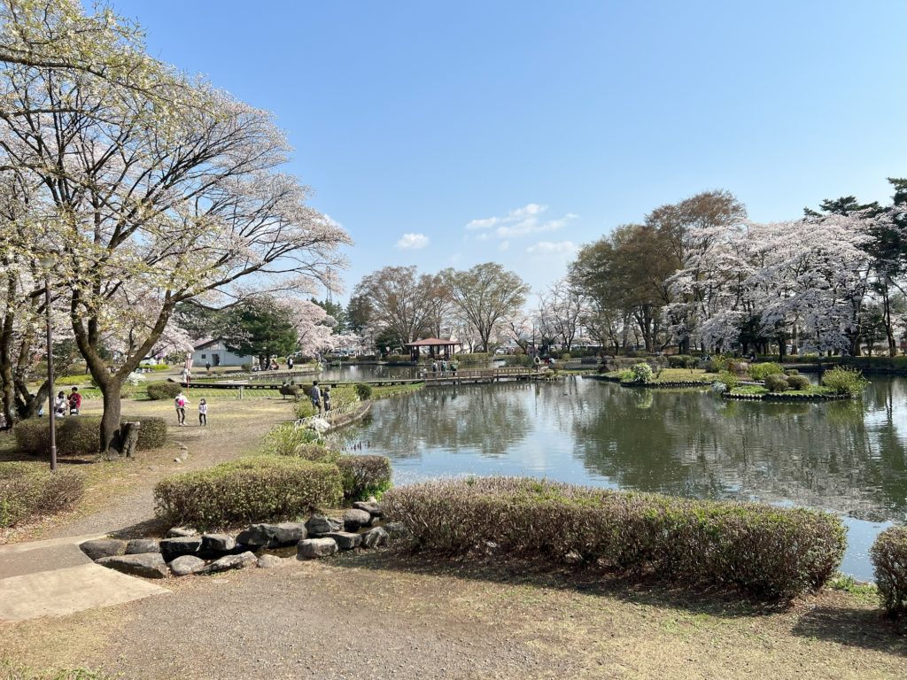 栃木県の桜
